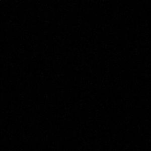 Meet your Posher, Eva